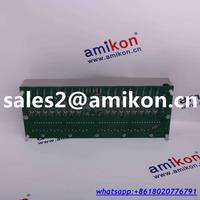 GE PLC IC693PWR321 | sales2@amikon.cn distributor
